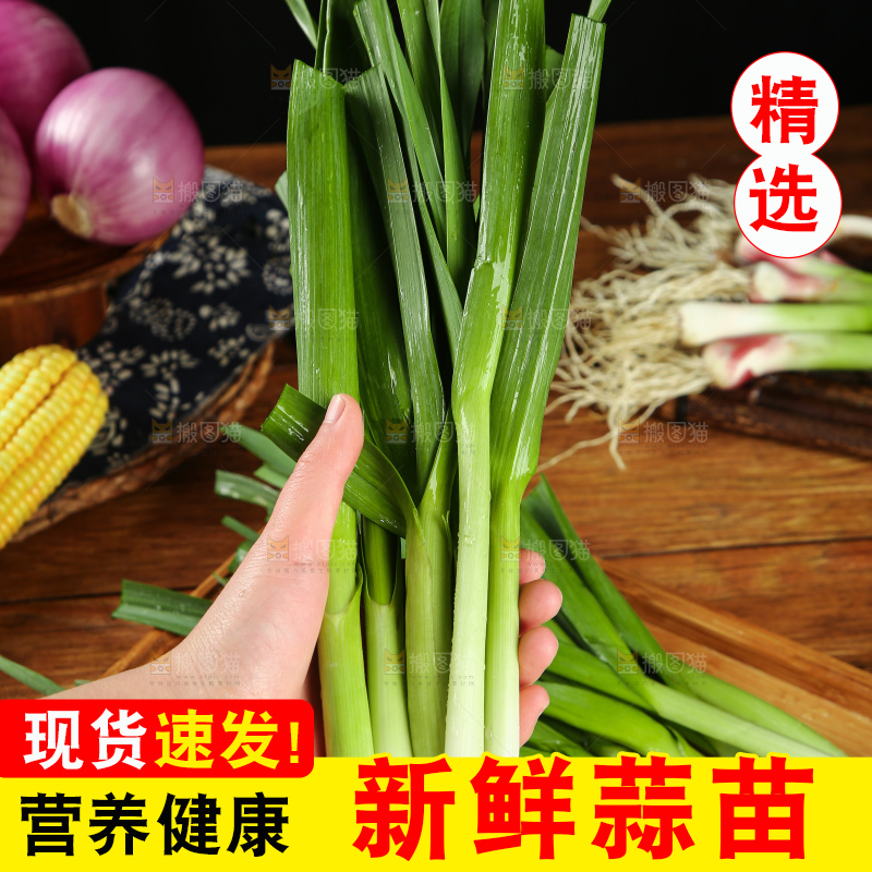 手里拿着蒜苗