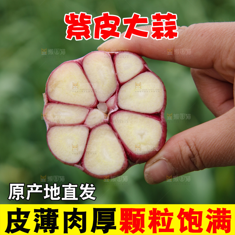 手里拿着多瓣蒜