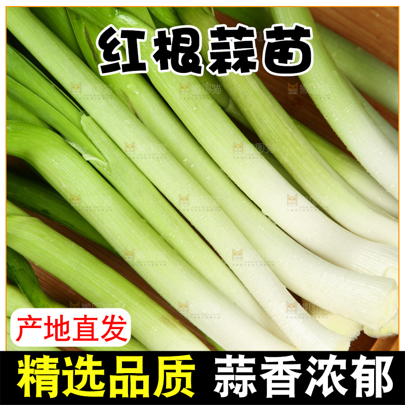 木底上放着大蒜苗