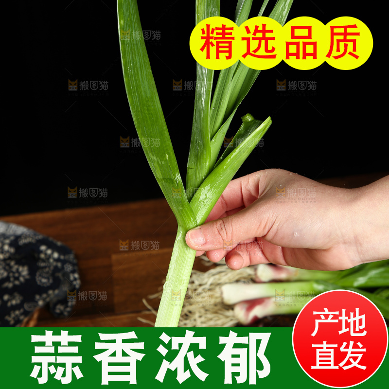 手里拿着大蒜苗
