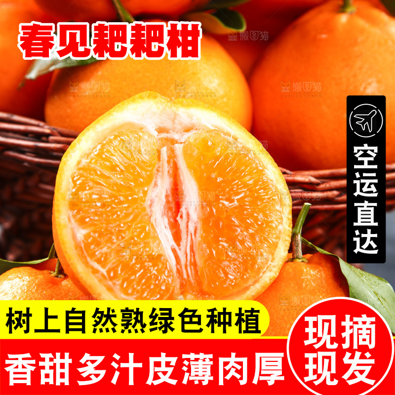 一堆新鲜耙耙柑