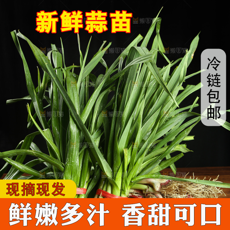 木底上放着一堆大蒜苗