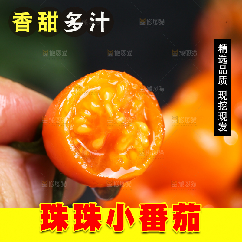 手里拿着圣女果