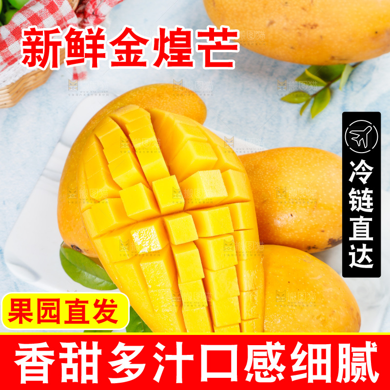 白石板上的水仙芒
