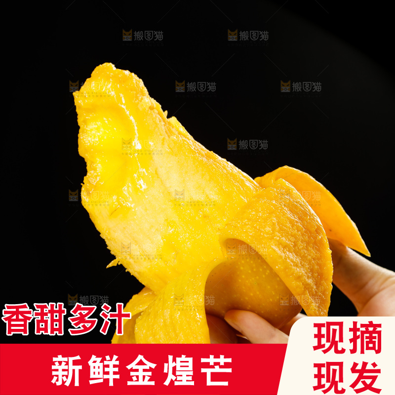 手里拿着金煌水仙芒