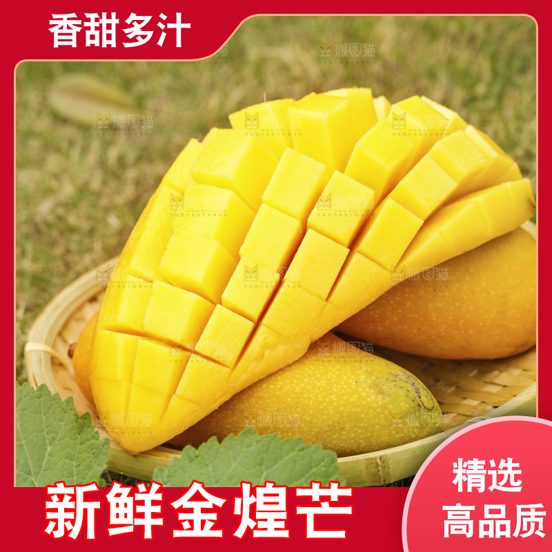 篮子里装着大金煌芒