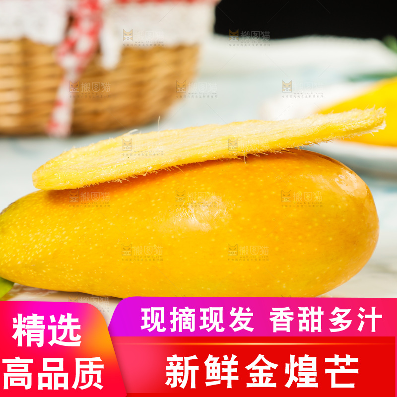 白石板上的海南金煌芒