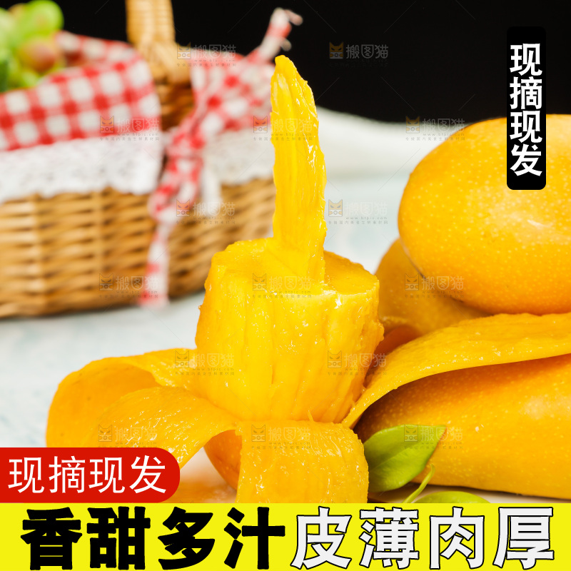 白石板上的海南金煌芒