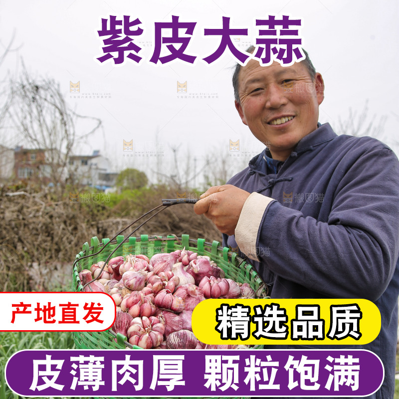 农民手里提着一篓紫皮大蒜