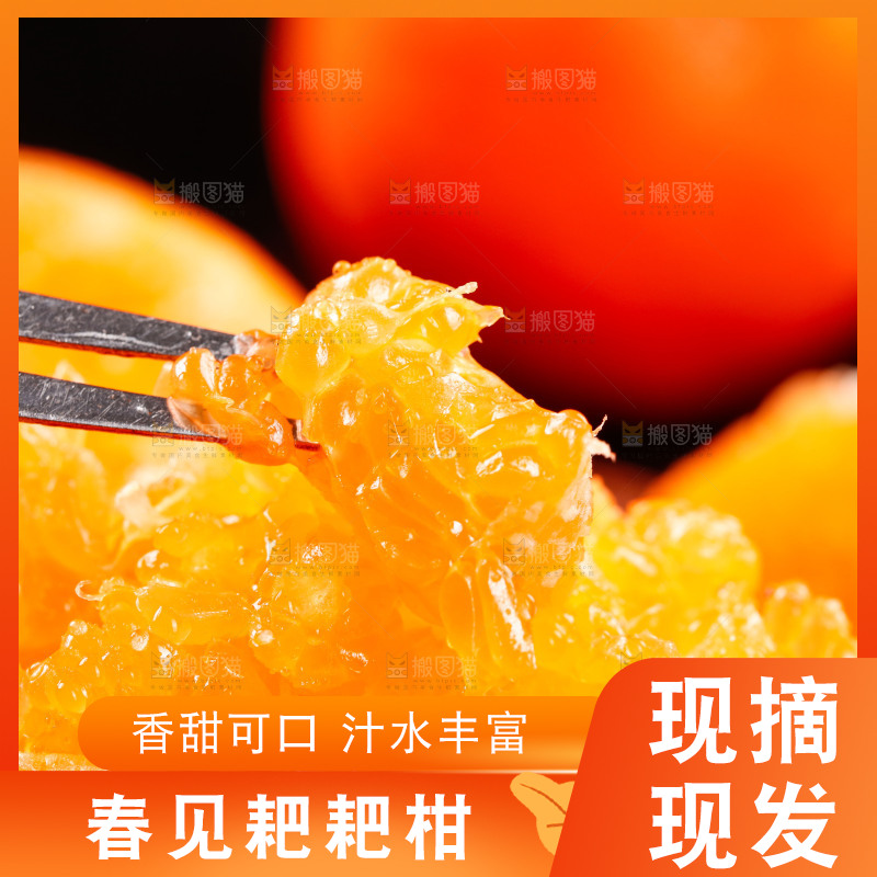 叉子上插着耙耙柑