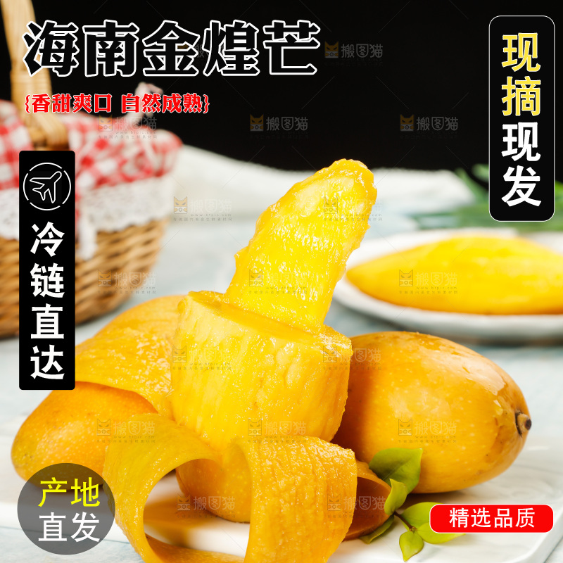 白石板上的海南金煌芒