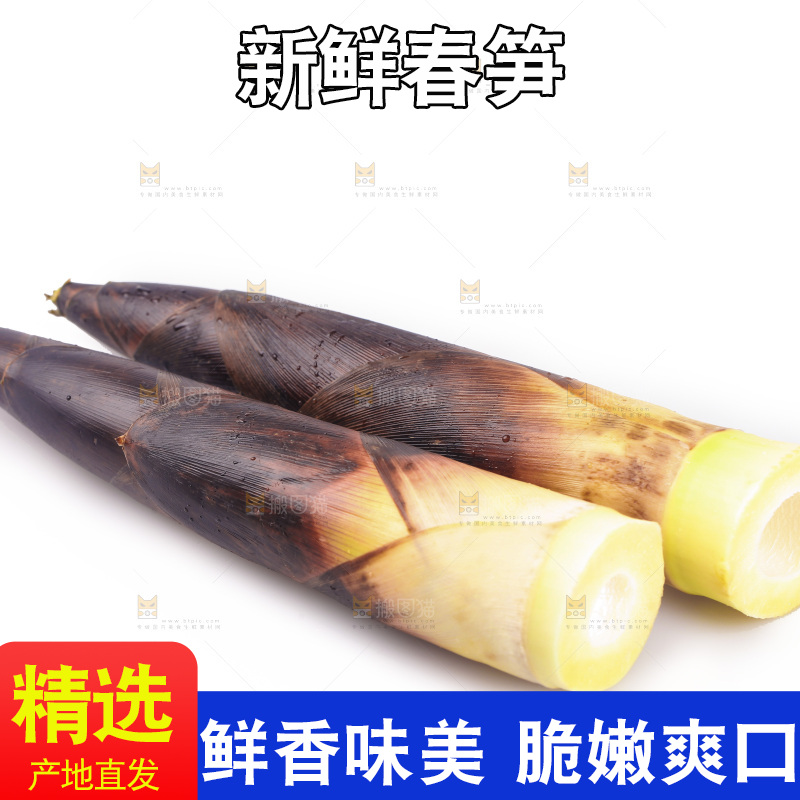 白底上的新鲜春笋