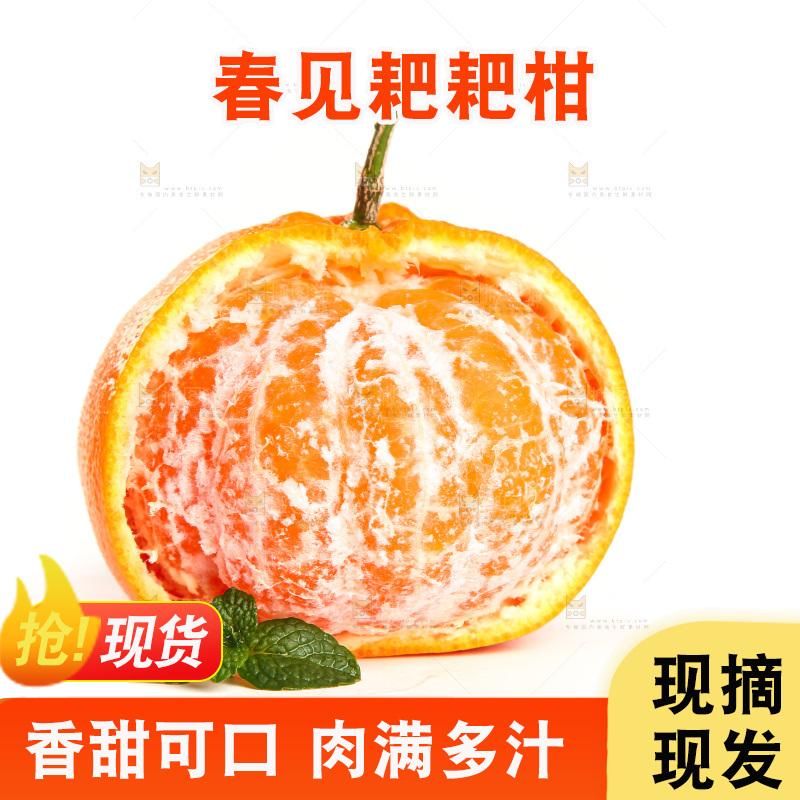 白底上的春见耙耙柑