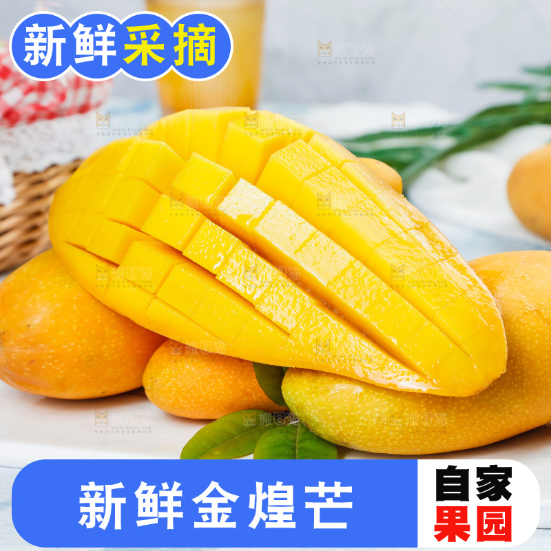 石板上放着新鲜金煌芒