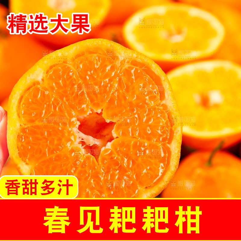 手里拿着切开的耙耙柑