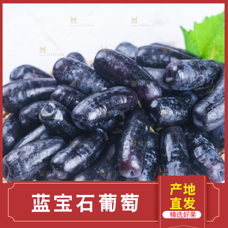 篮子里装着蓝宝石葡萄