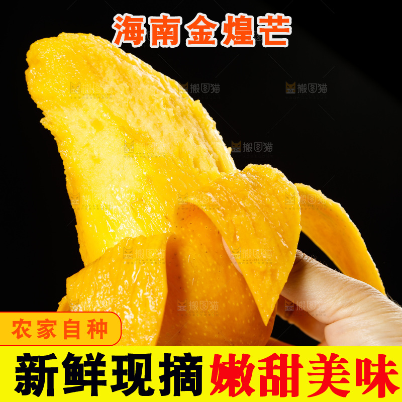 手里拿着金煌水仙芒