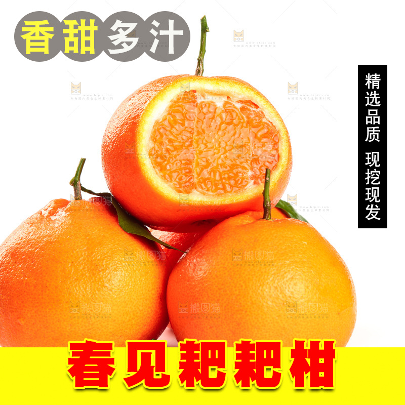 白底上的耙耙柑