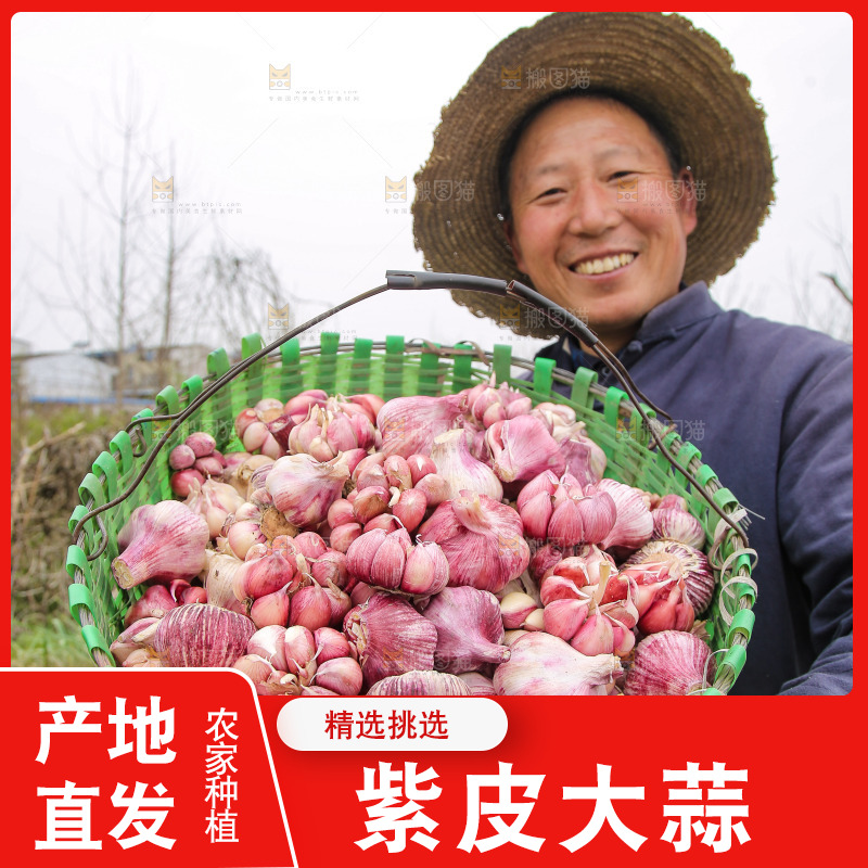 农民手里提着一篓紫皮大蒜
