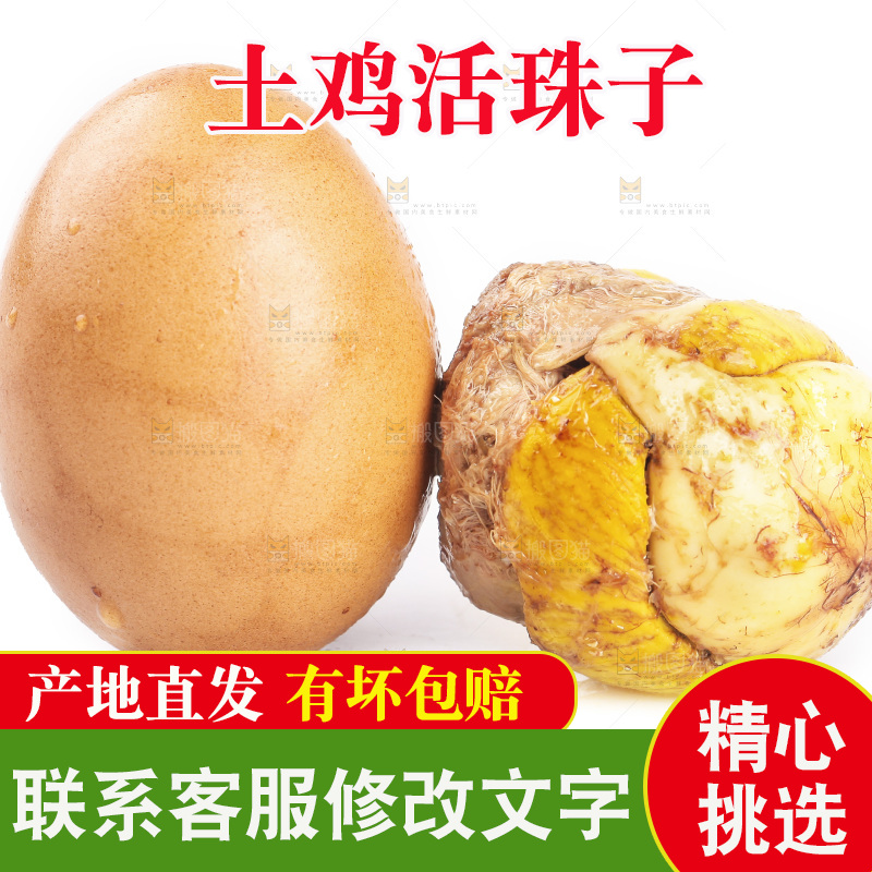 白底上放着土鸡蛋活珠子