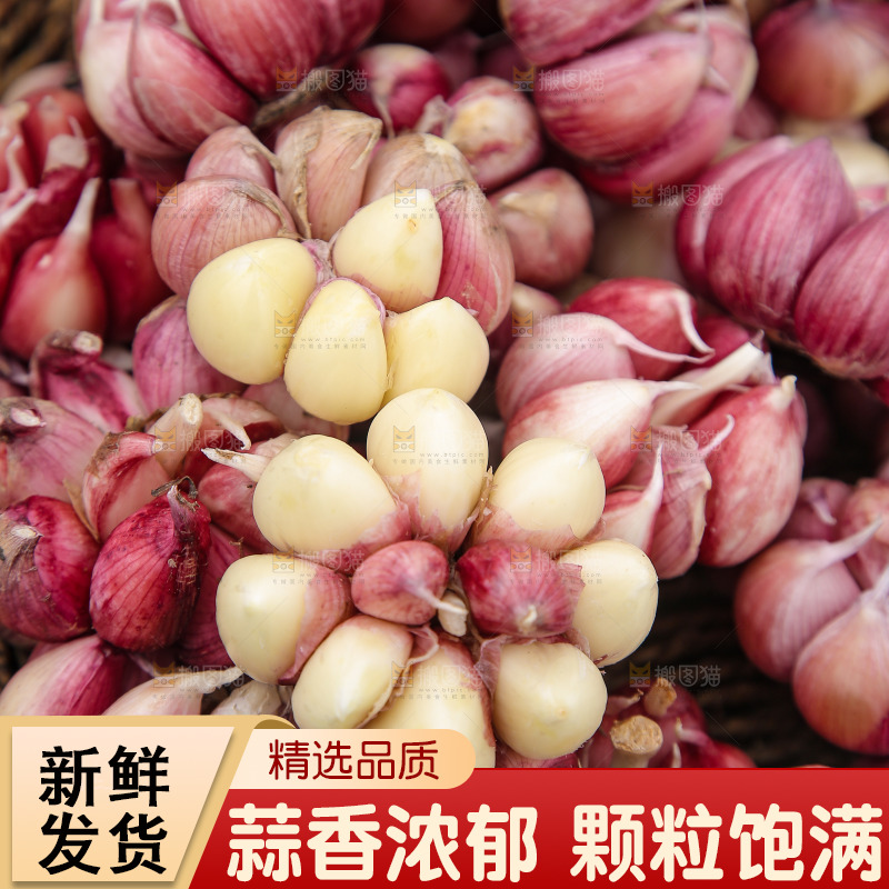 一篮紫皮大蒜
