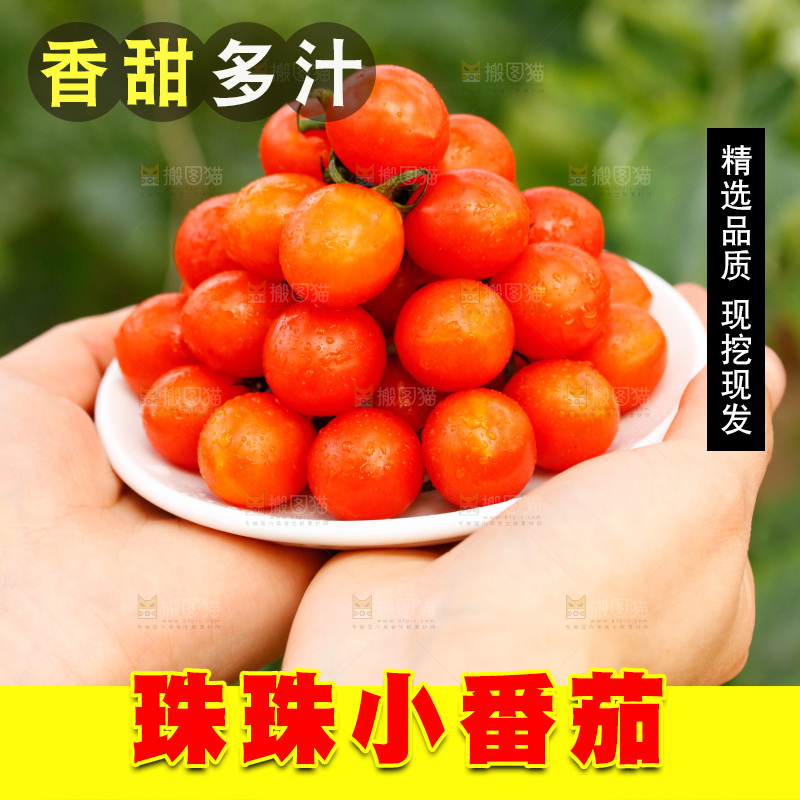 手里捧着一碟珍珠小番茄
