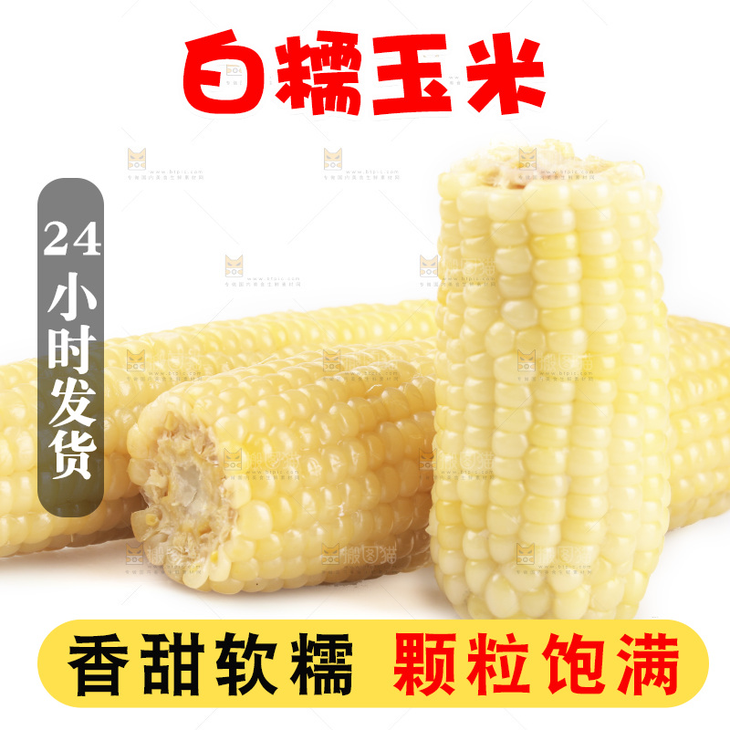 白底上的白糯玉米