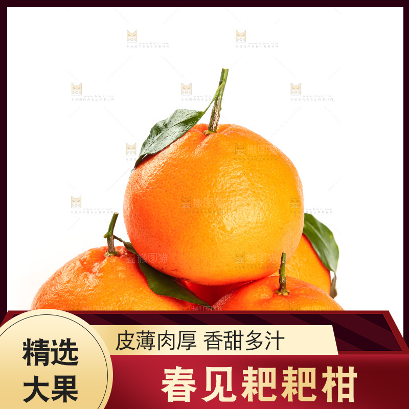 白底上的耙耙柑