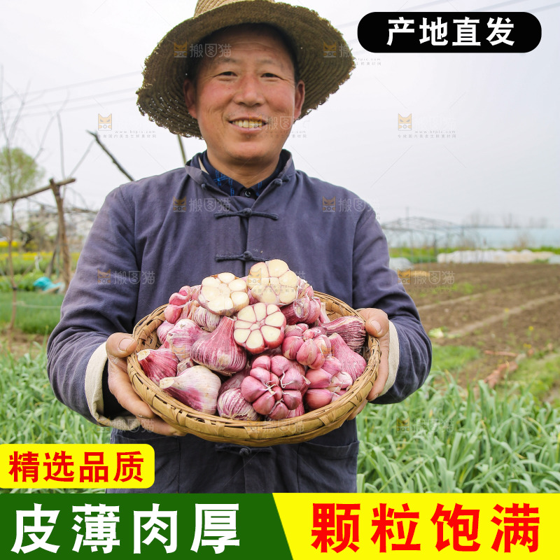 农民手里端着一篮紫皮大蒜