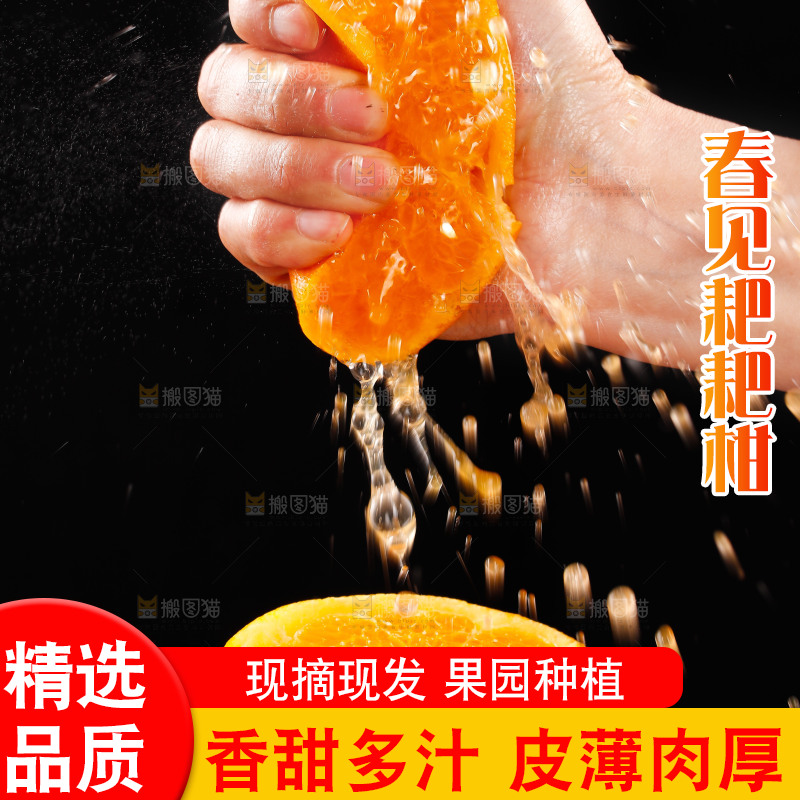 手里拿着耙耙柑爆汁