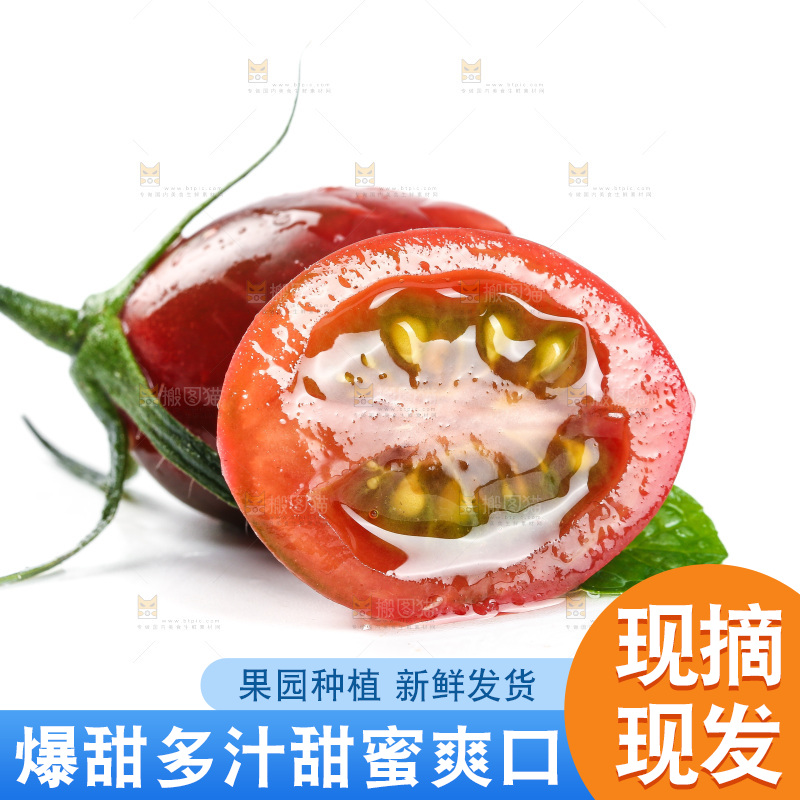 白底上的新鲜小番茄
