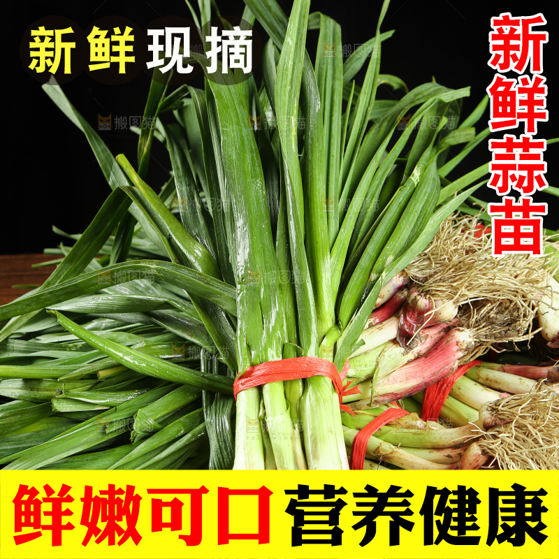 木底上放着一堆大蒜苗