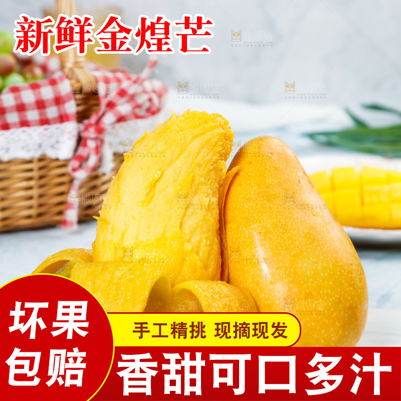白石板上的水仙芒