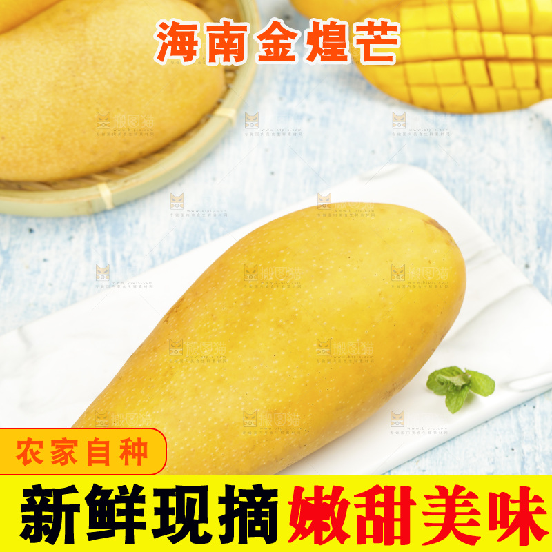 石板上放着新鲜金煌芒