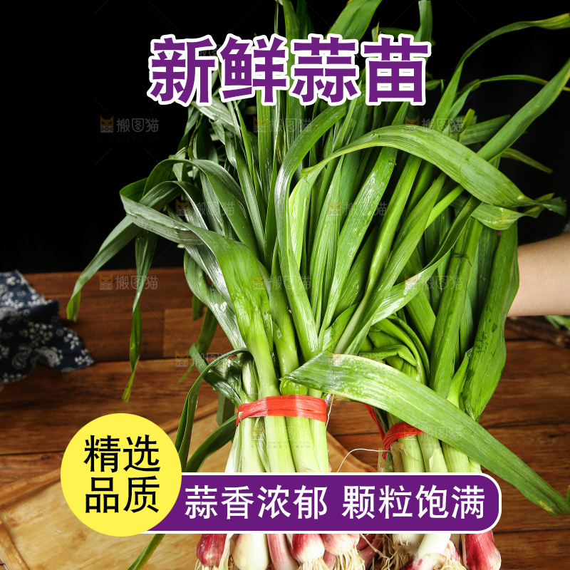 手上拿着蒜苗
