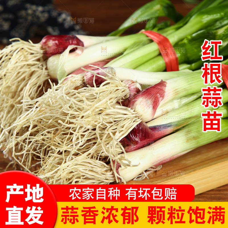木底上放着蒜苗