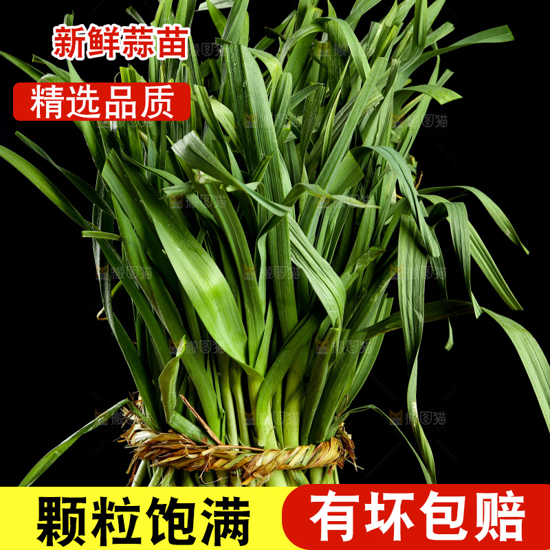 木底上放着新鲜蒜苗