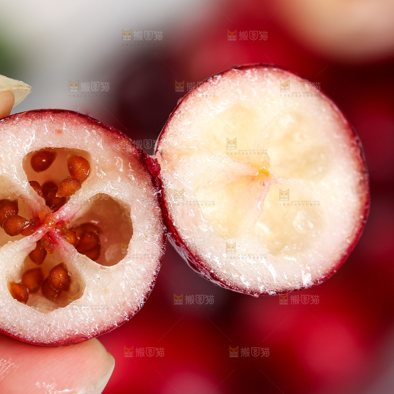 手里拿着新鲜蔓越莓