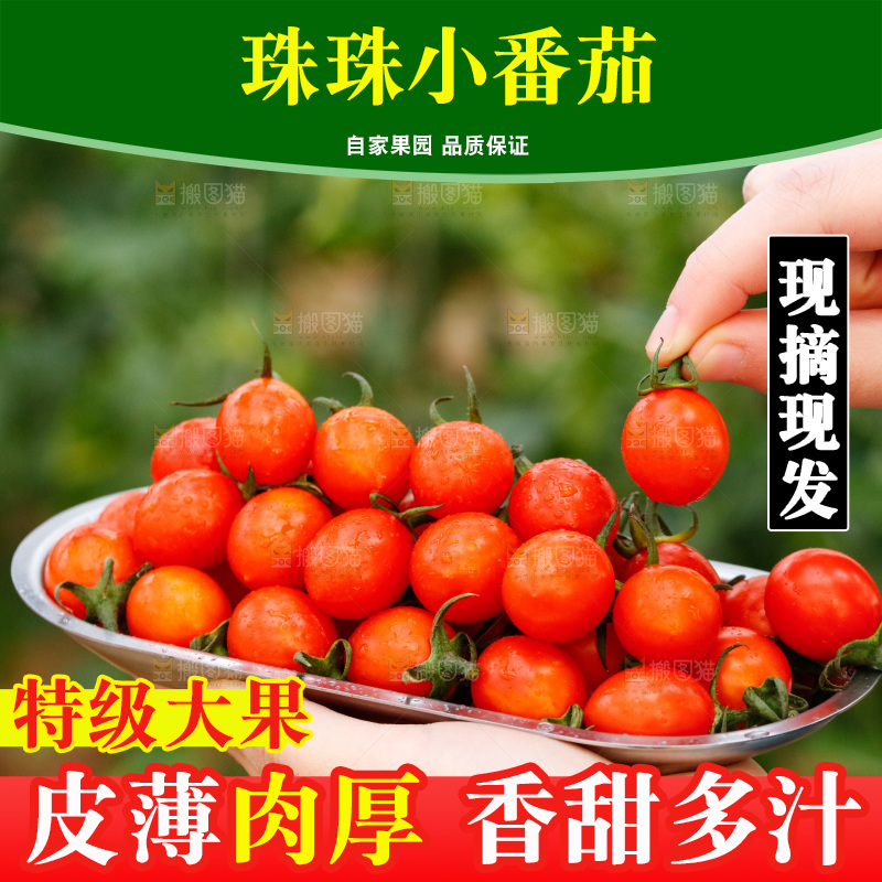 手里端着一盘珠珠小番茄