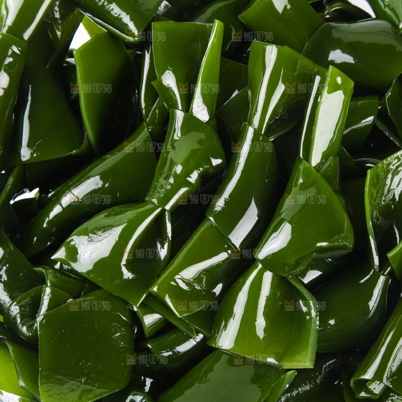 海带结特写