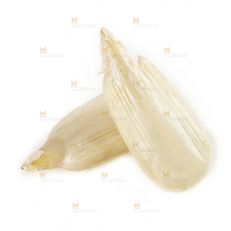 白底上的葵花籽仁