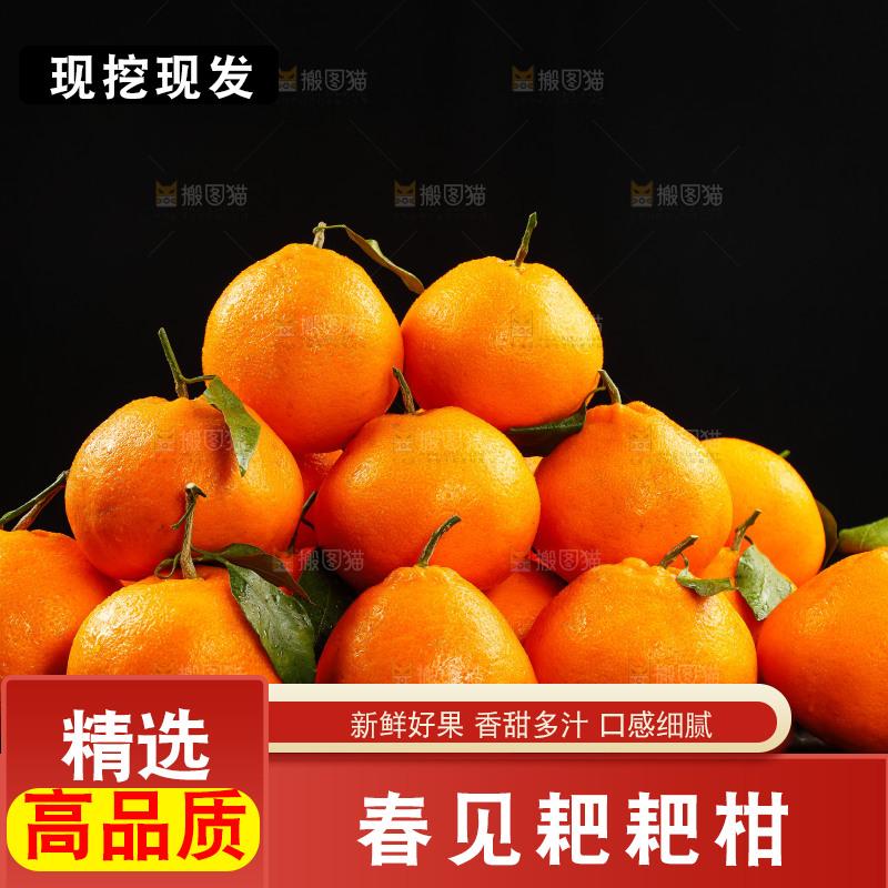 一堆春见耙耙柑