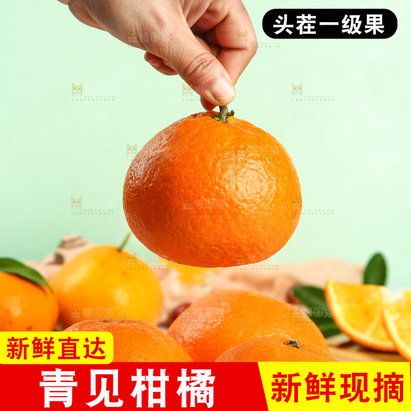 手里拿着青见柑橘