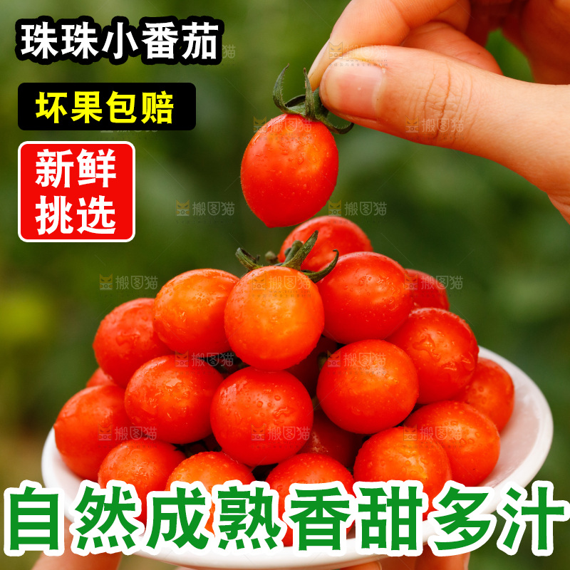 手里捧着一碟珍珠小番茄