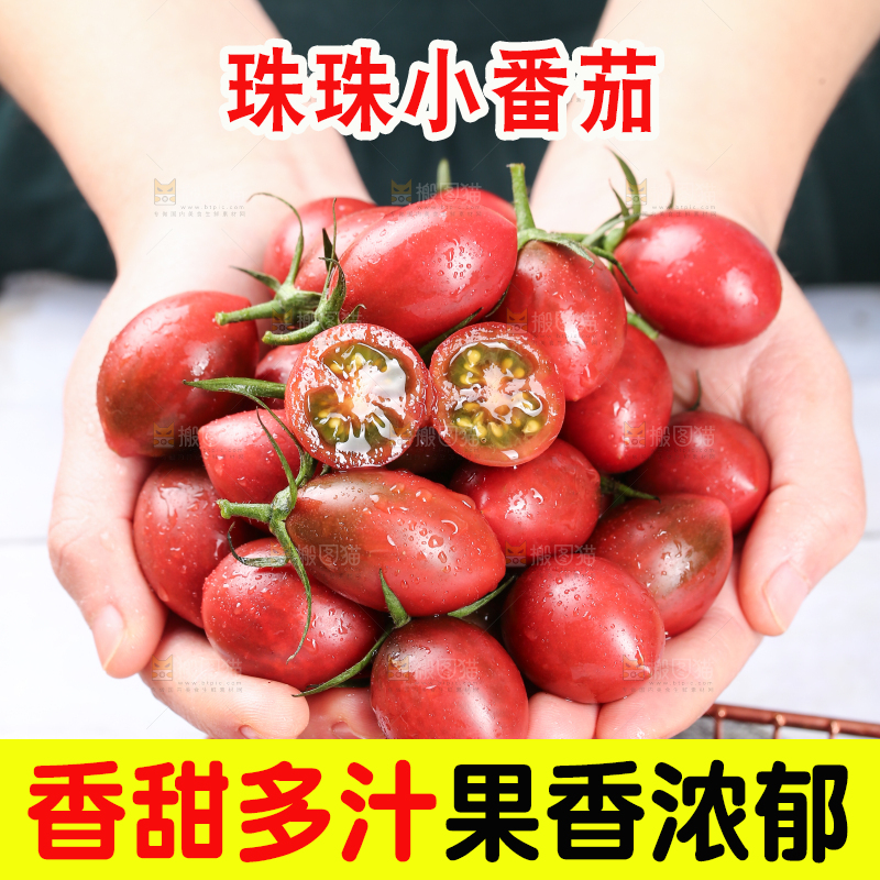 手里捧着珠珠小番茄