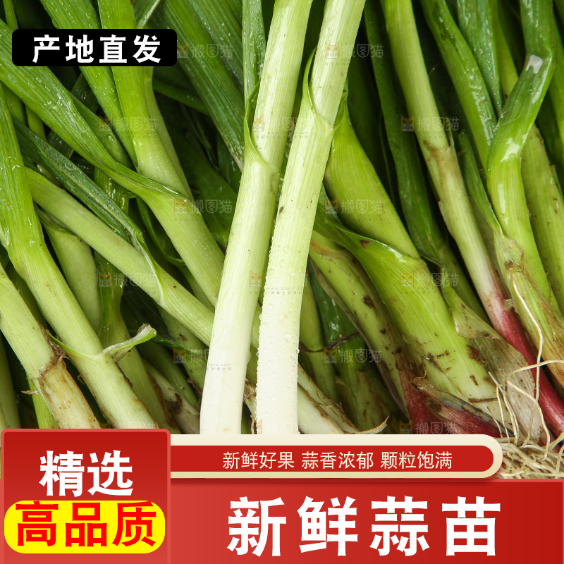 一堆大蒜苗