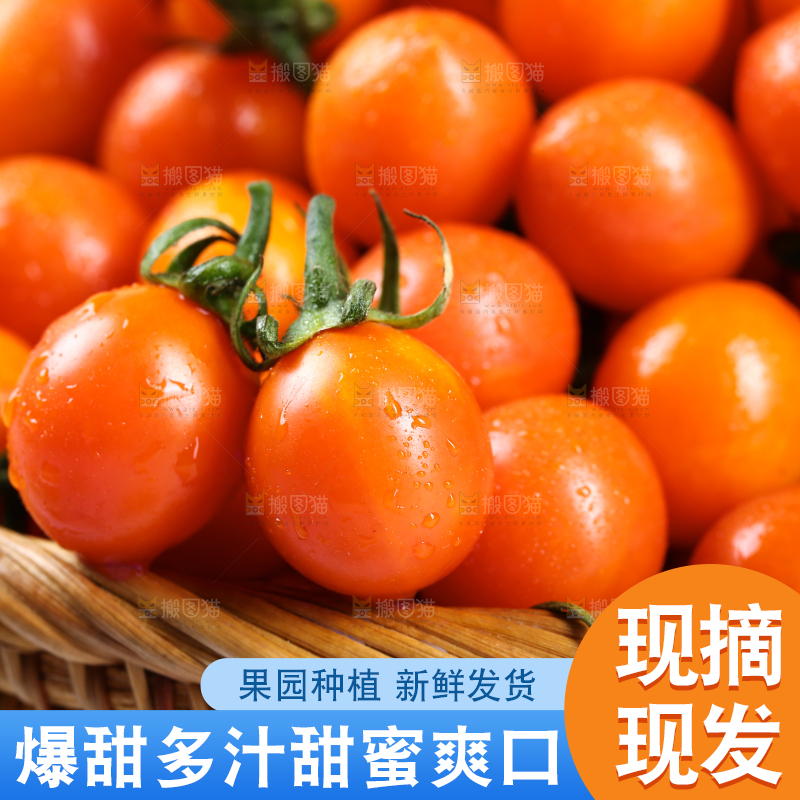 篮子里装着珠珠小番茄