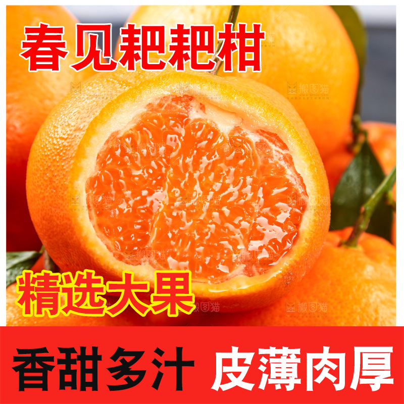 篮子里的四川春见耙耙柑