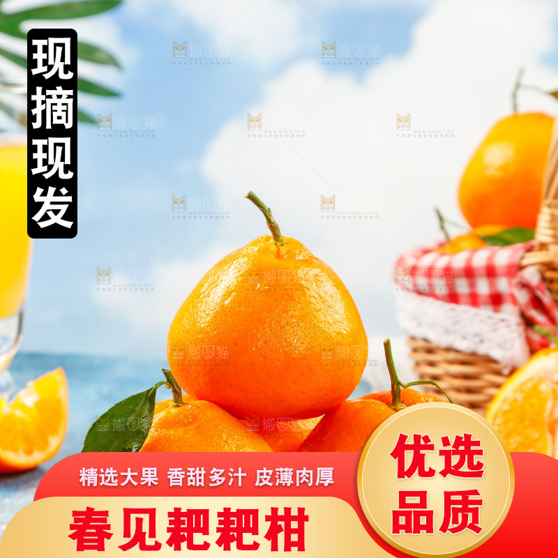 木板上放着春见耙耙柑