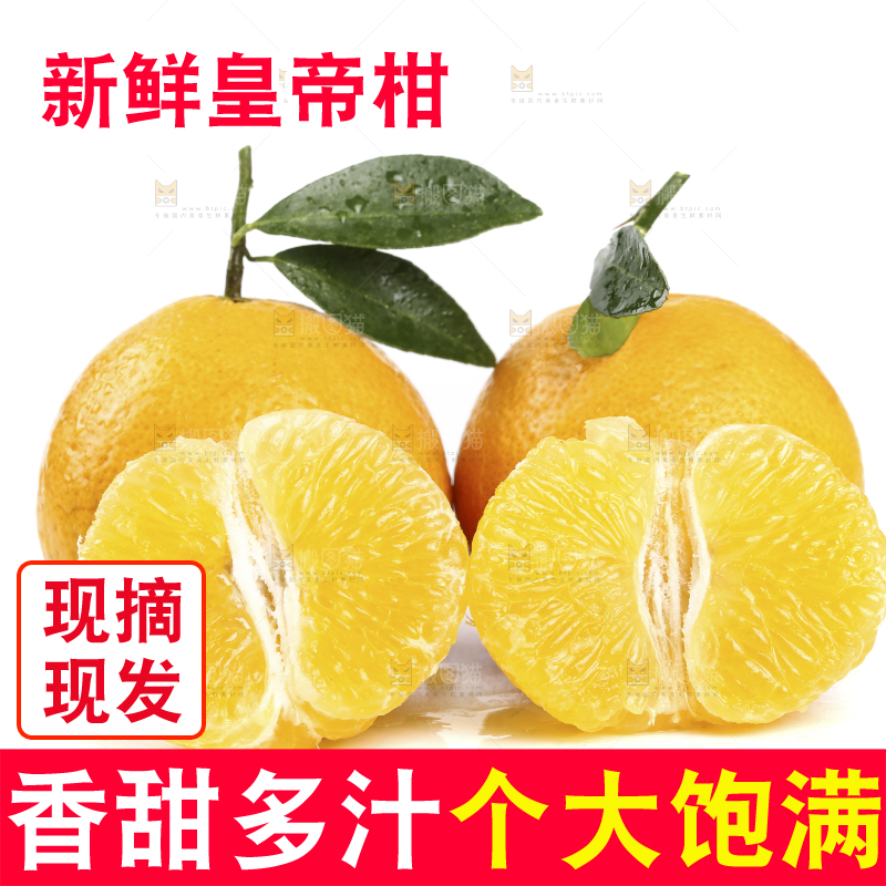 白底上放着皇帝柑